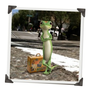 geckojourney